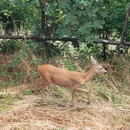 Casa Ramaceto Borzonasca